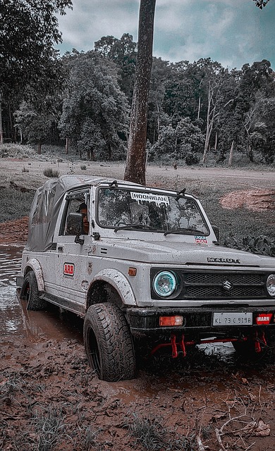 进攻使吉林 进攻使吉林