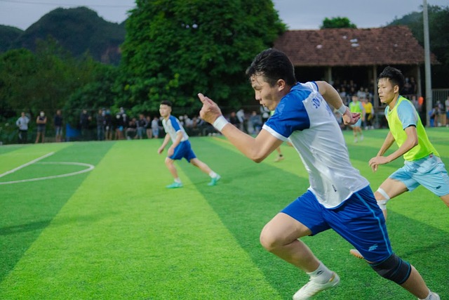 職業生涯的 職業生涯的