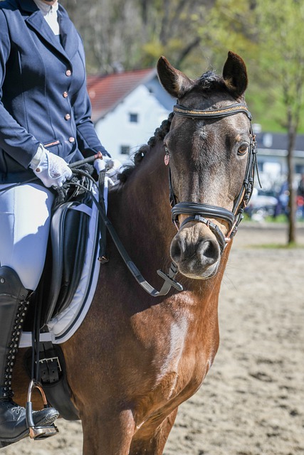 同时他们两 同时他们两