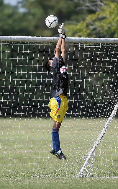 文化的载体 文化的载体