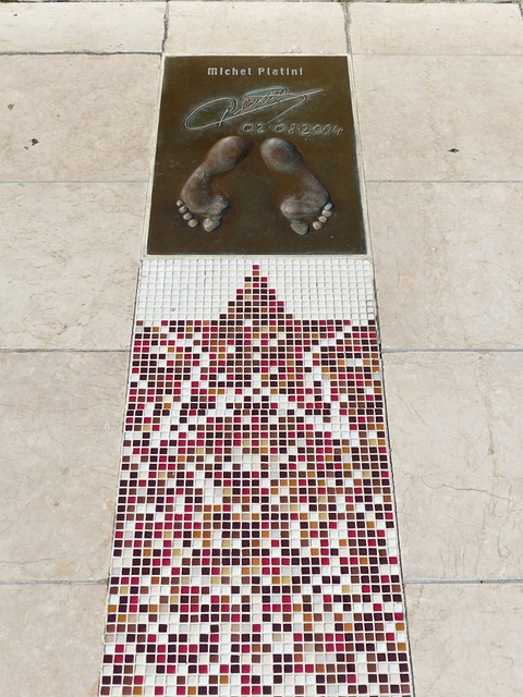 尽管范加尔 尽管范加尔