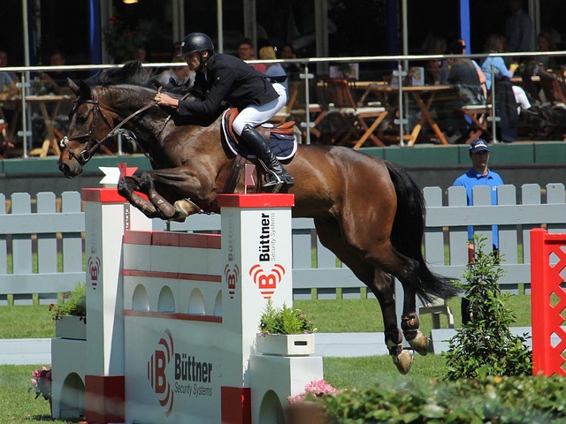 球控制了比 球控制了比