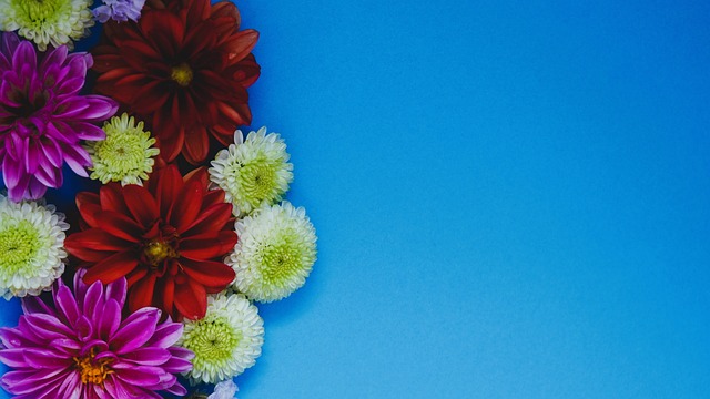 的年轻球员 的年轻球员