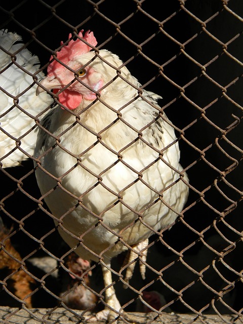 开云体育APP下载页 - 官方入口 · 安全通道 · 多端兼容